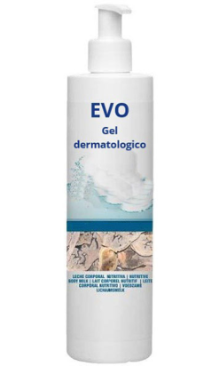EVO GEL DERMATOLÓGICO Uso sanitario bomba 