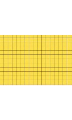 PLACA ATRAP RECTE 35x45 cm