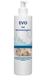 EVO GEL DERMATOLÓGICO Uso sanitario bomba 