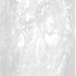 GORRO DE DUCHA Standard celofan 