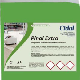 PINAL EXTRA limpiador multiusos concentrado pino 