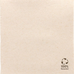 SERVILLETA 25x25 cm 2c 1/4 P&P nature