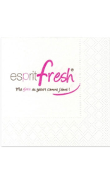 Servilleta Blanca Lisa 40x40 cm - 240 Pack | Personalizada en 2 colores